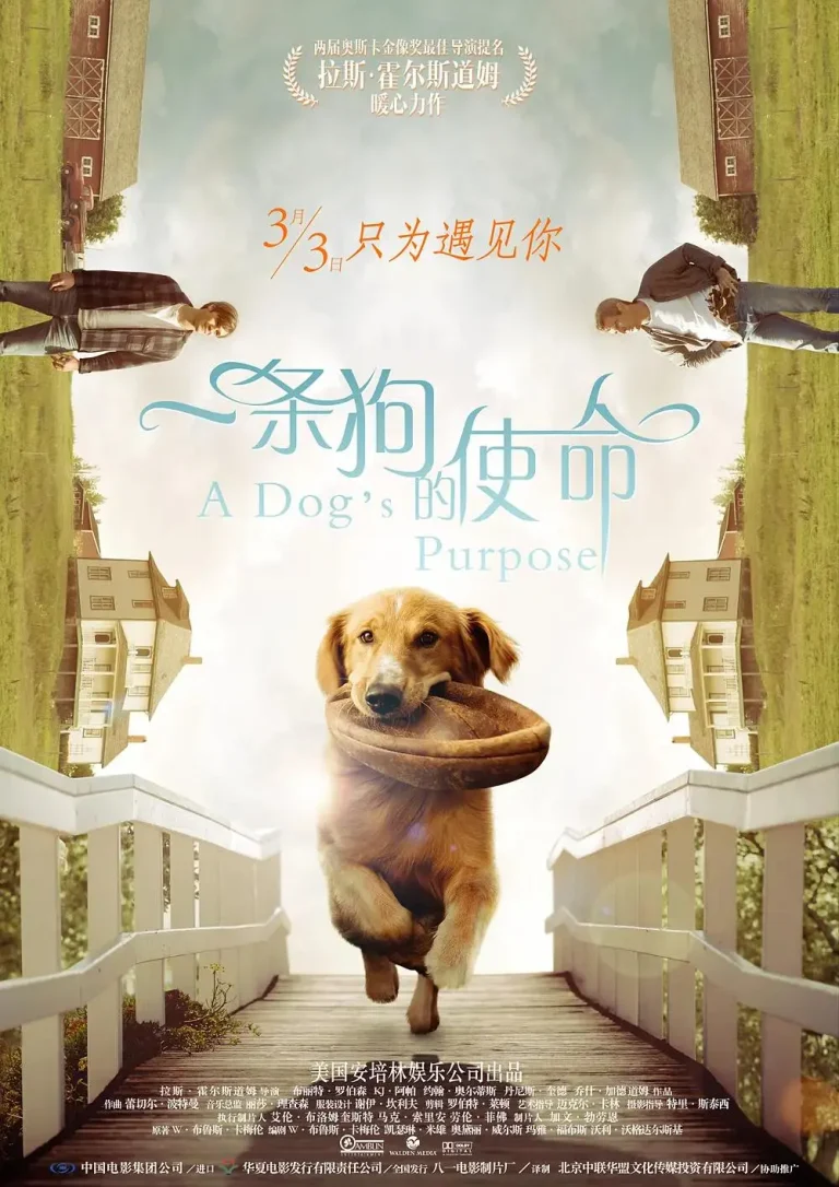 《一条狗的使命》全集高清完整版在线观看与剧情解析