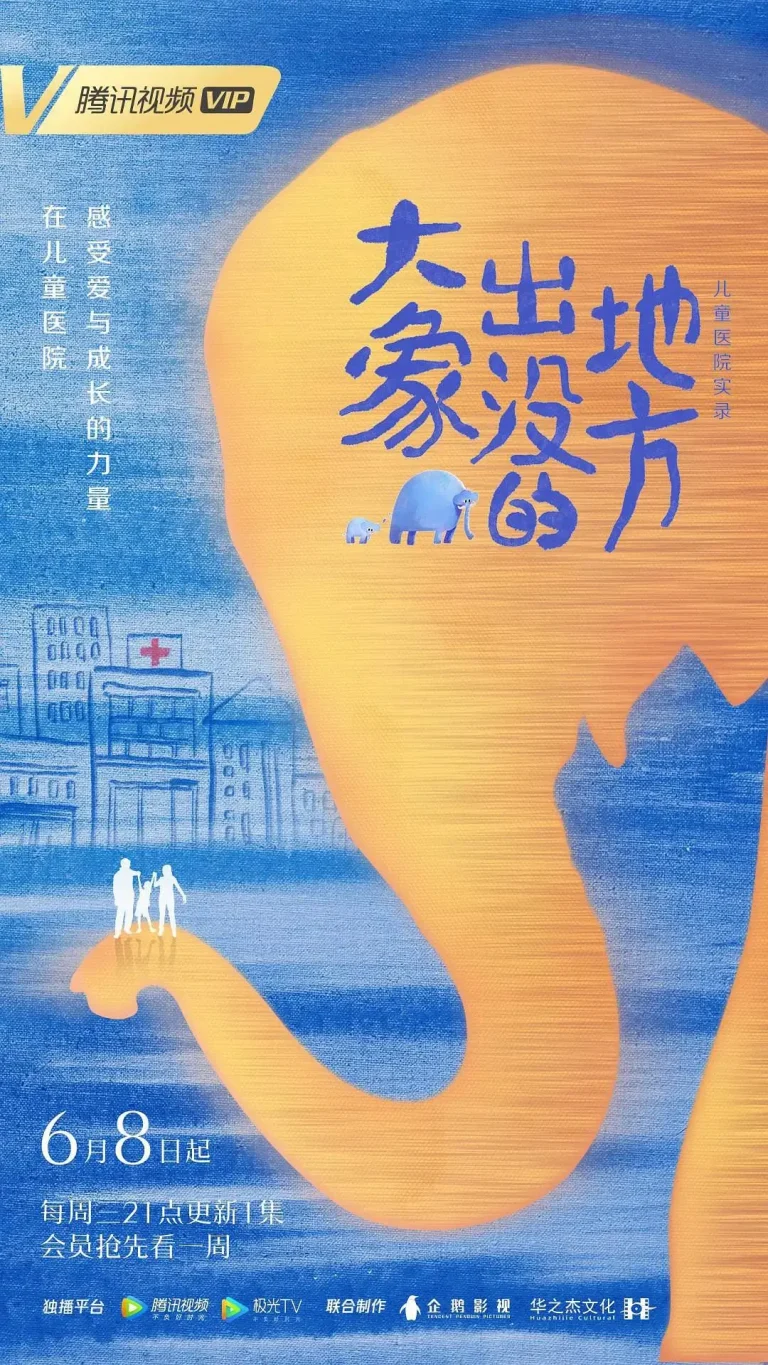 《大象出没的地方》全集高清完整版在线观看与剧情解析