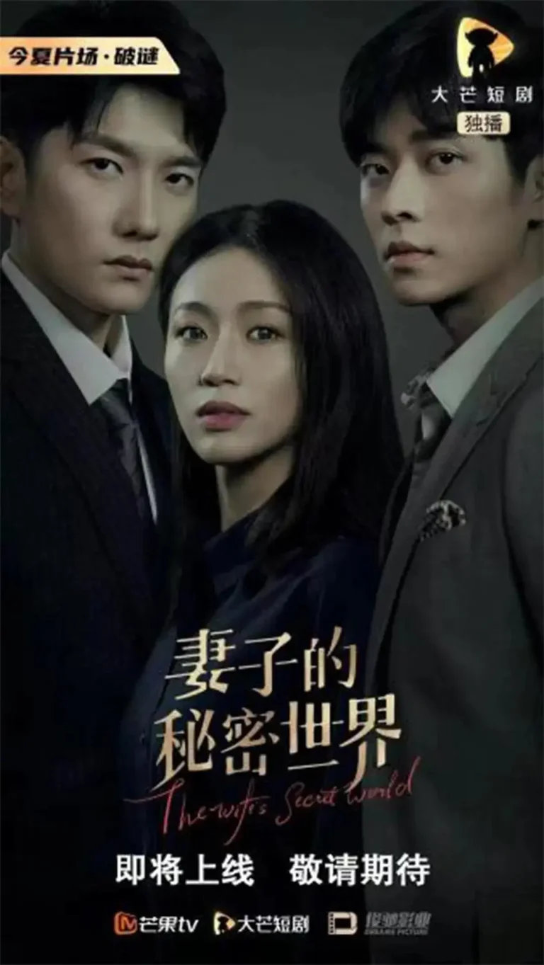 《妻子的秘密世界》全集高清完整版在线观看与剧情解析