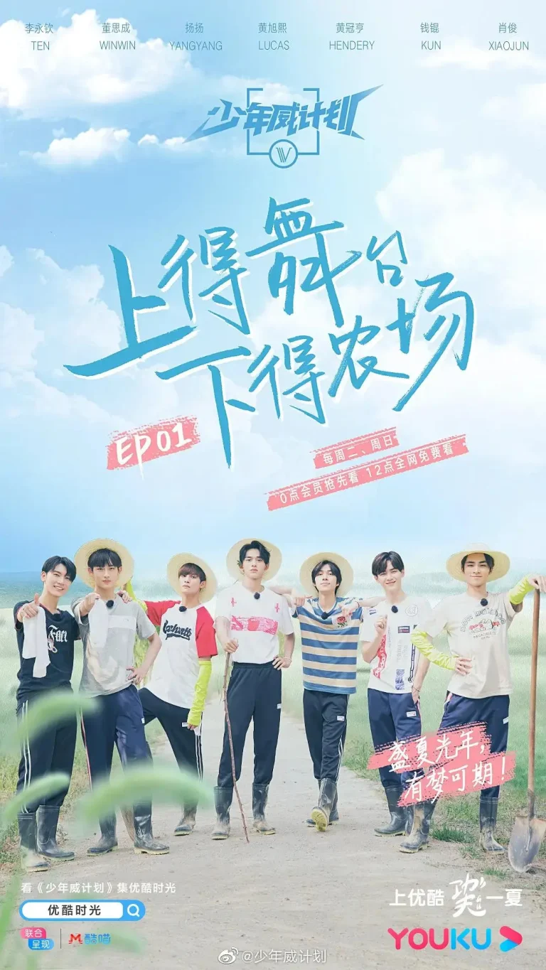 《少年威计划》全集高清完整版在线观看与剧情解析