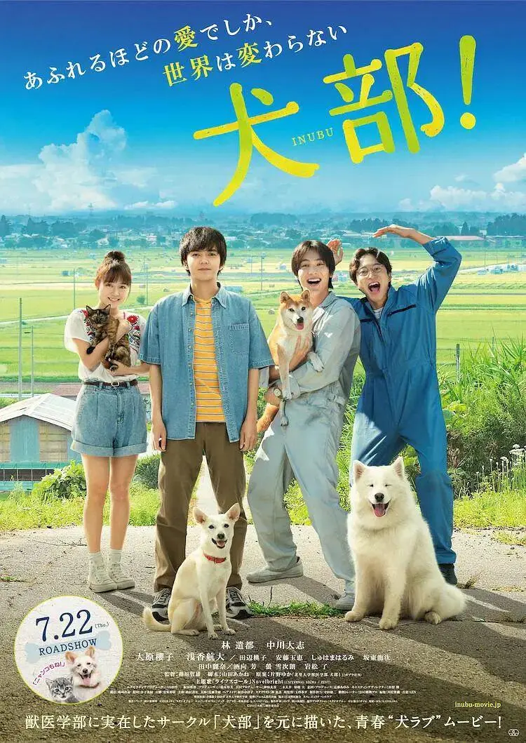 《犬部！》全集高清完整版在线观看与剧情解析
