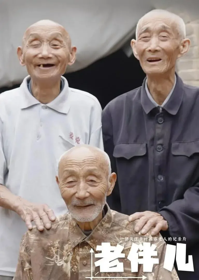 《老伴儿》全集高清完整版在线观看与剧情解析