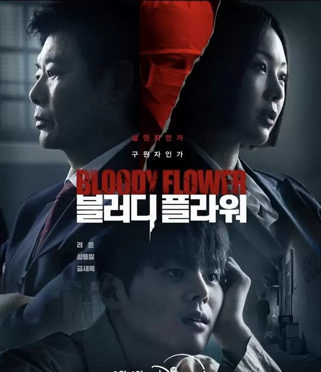 五部豆瓣评分7.7至8.5的悬疑韩剧被重新关注：资讯配图