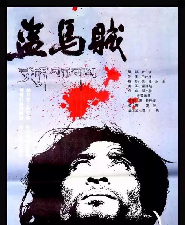 舒琪以多重身份推动华语电影发展：相关图片